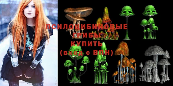 дживик Алексеевка