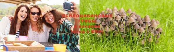 ГАЛЛЮЦИНОГЕННЫЕ ГРИБЫ Алексин