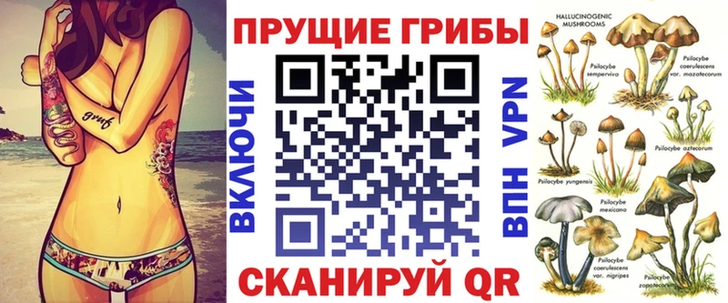 Псилоцибиновые грибы ЛСД  дарнет шоп  Северская 