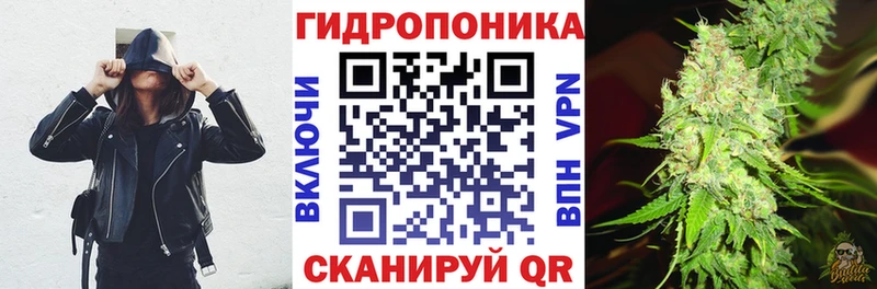 где можно купить   Северская  Шишки марихуана индика 